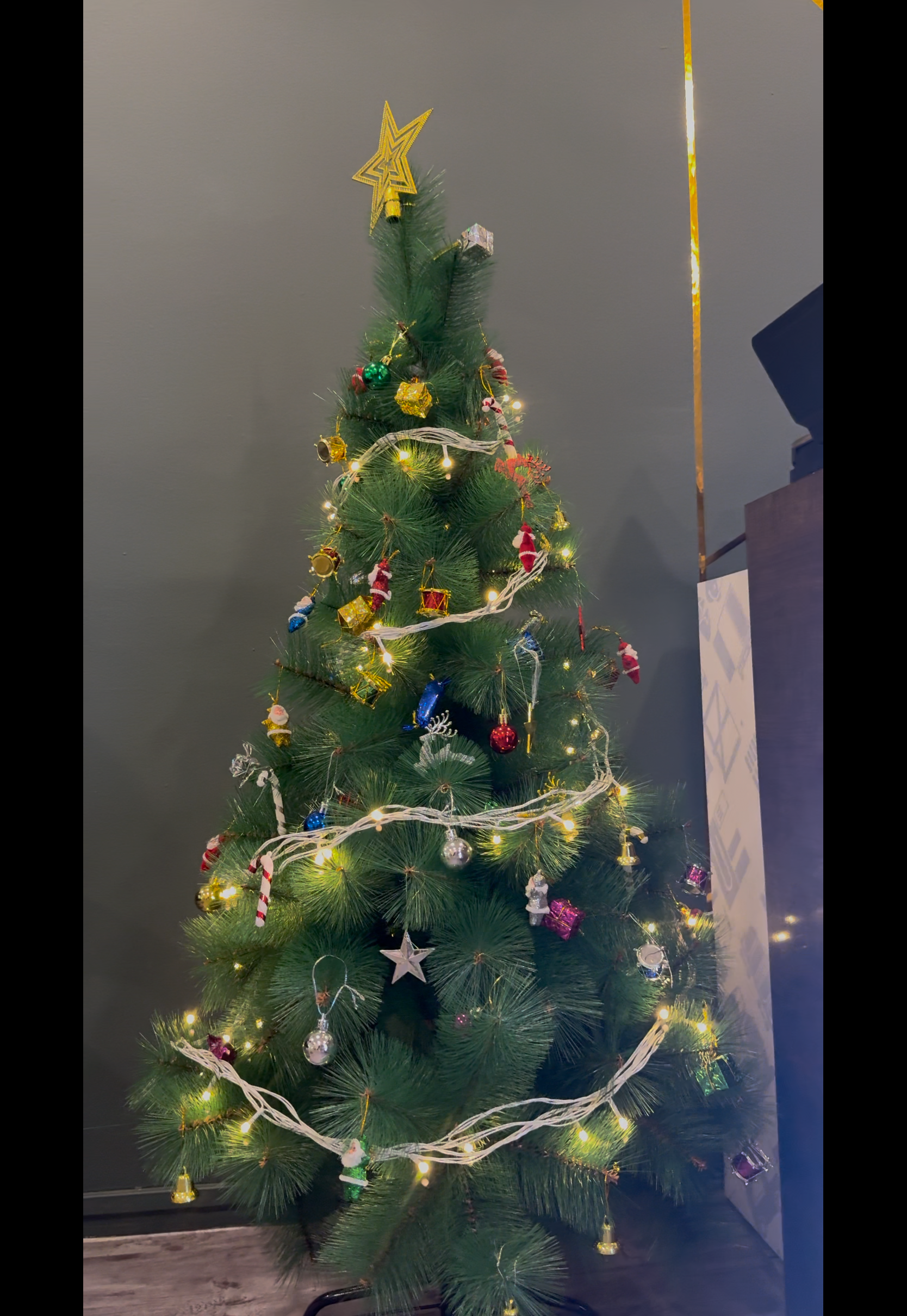 Christmas Celebration – photo 4